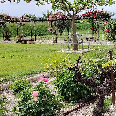 Gite En Provence Lavande Modene Esterno foto