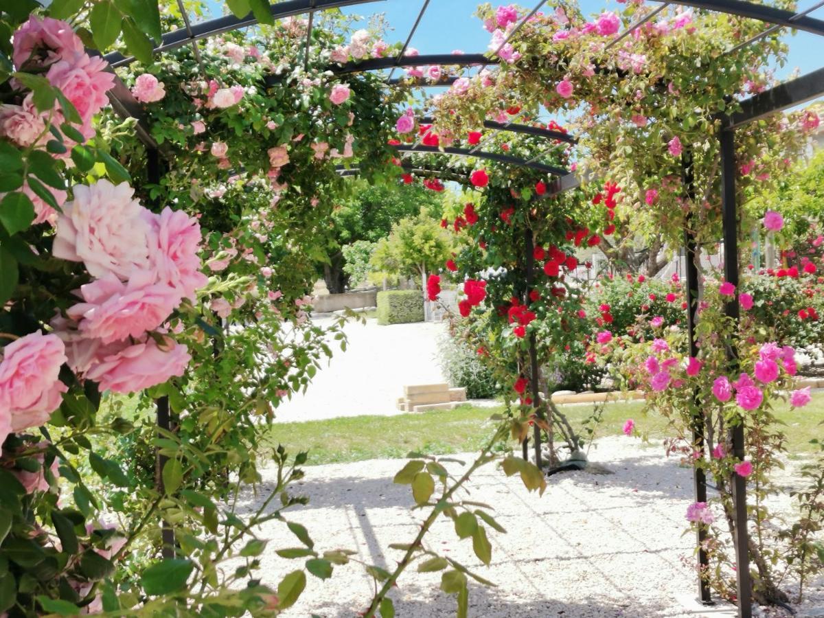 Gite En Provence Lavande Modene Esterno foto
