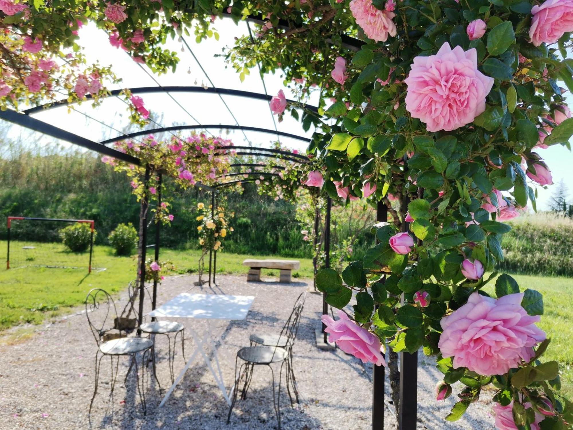 Gite En Provence Lavande Modene Esterno foto