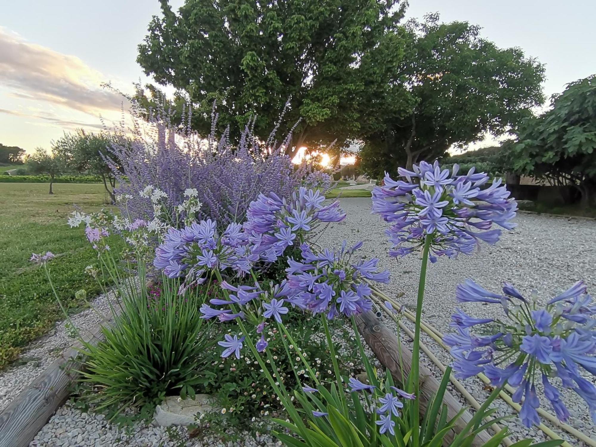 Gite En Provence Lavande Modene Esterno foto