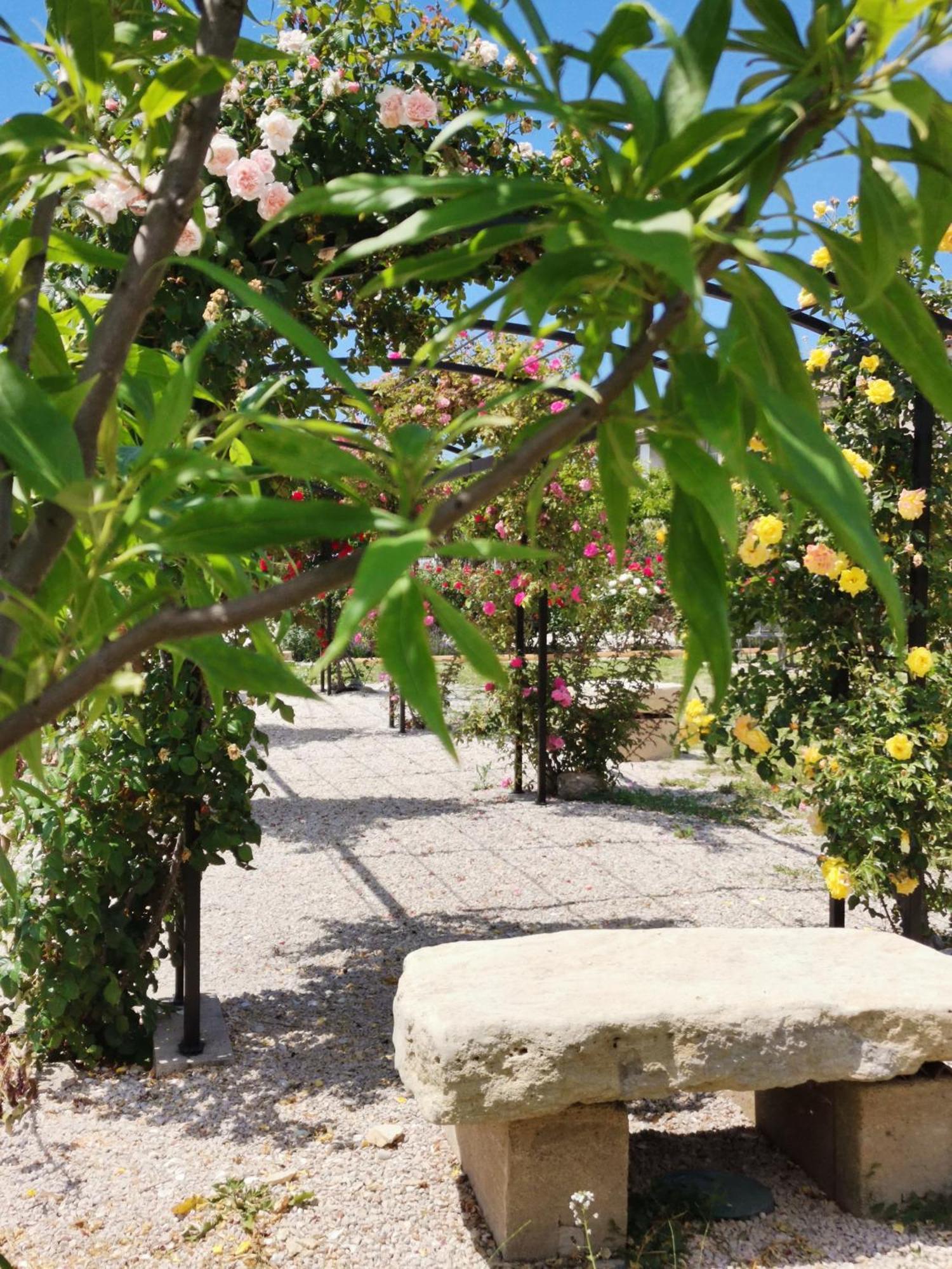 Gite En Provence Lavande Modene Esterno foto
