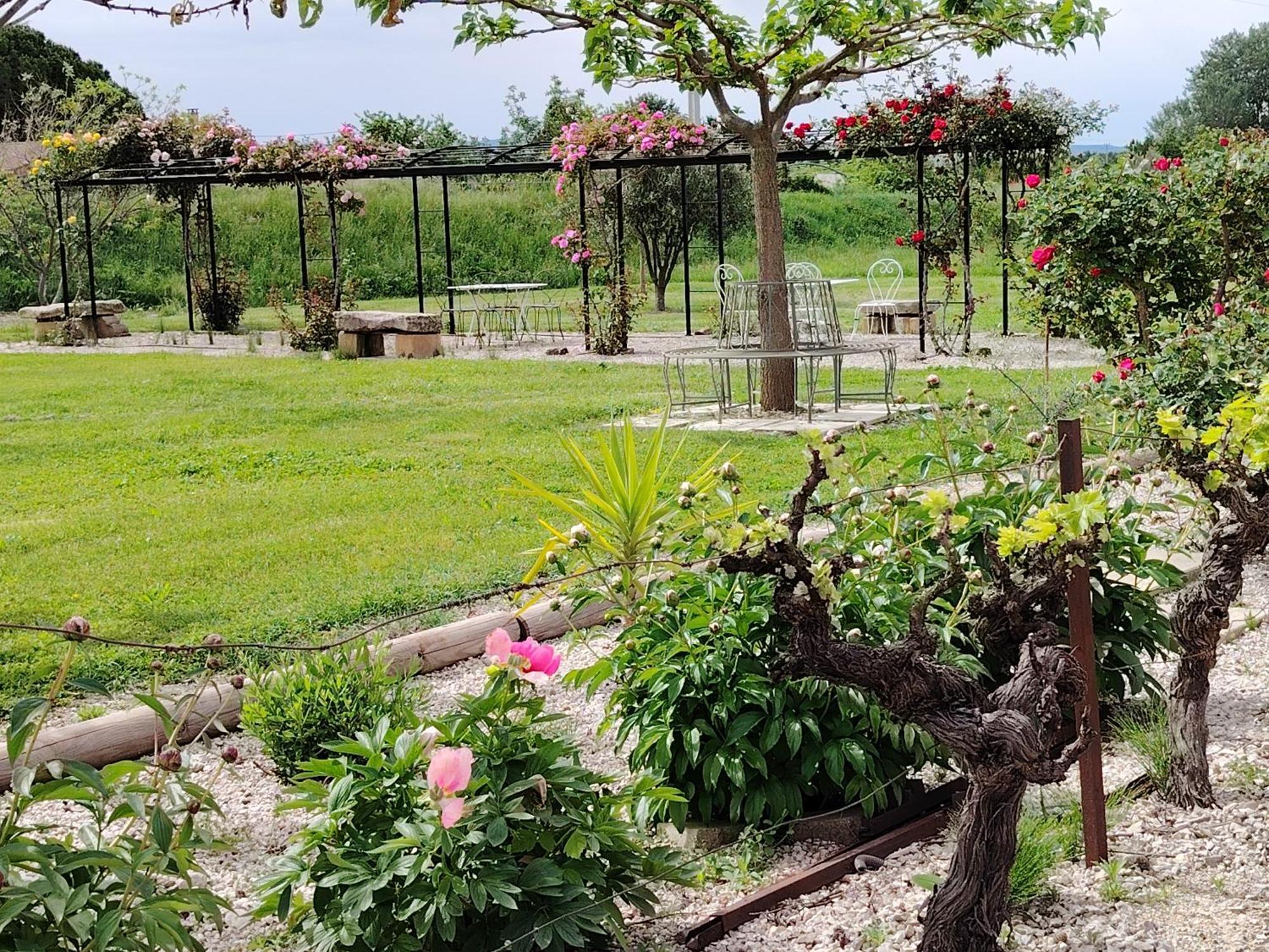 Gite En Provence Lavande Modene Esterno foto