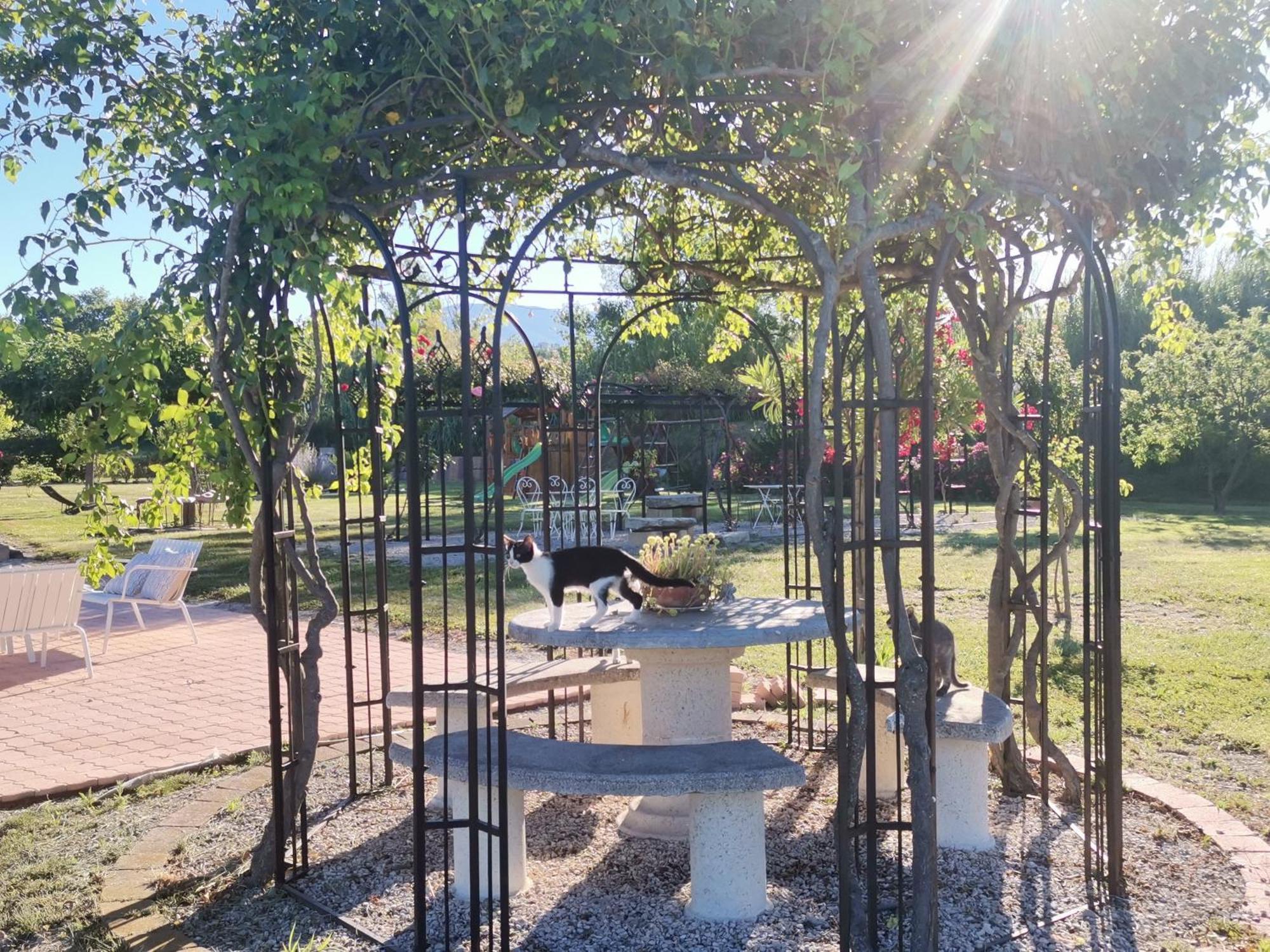 Gite En Provence Lavande Modene Esterno foto
